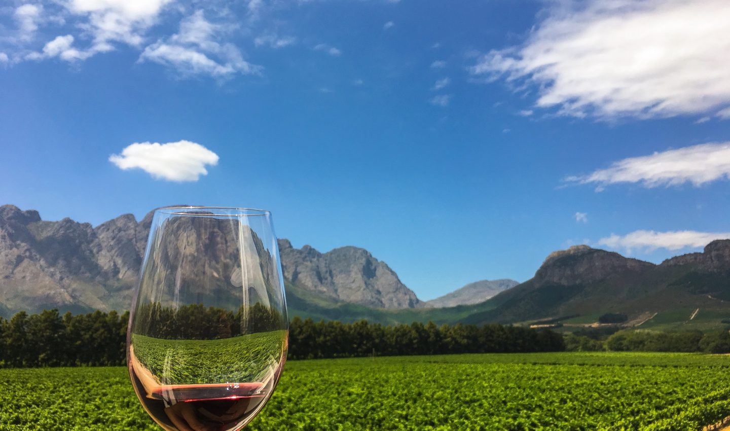 Franschhoek wine tasting