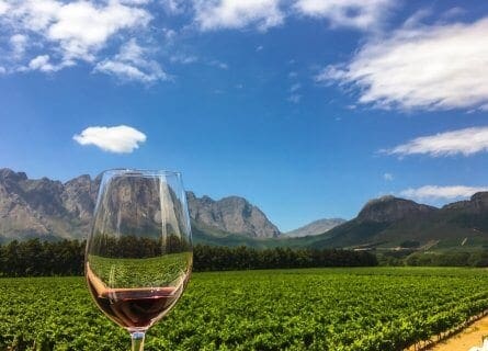 Franschhoek wine tasting