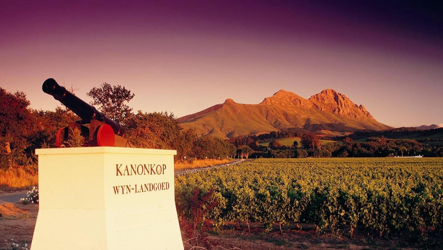 Kanonkop winery