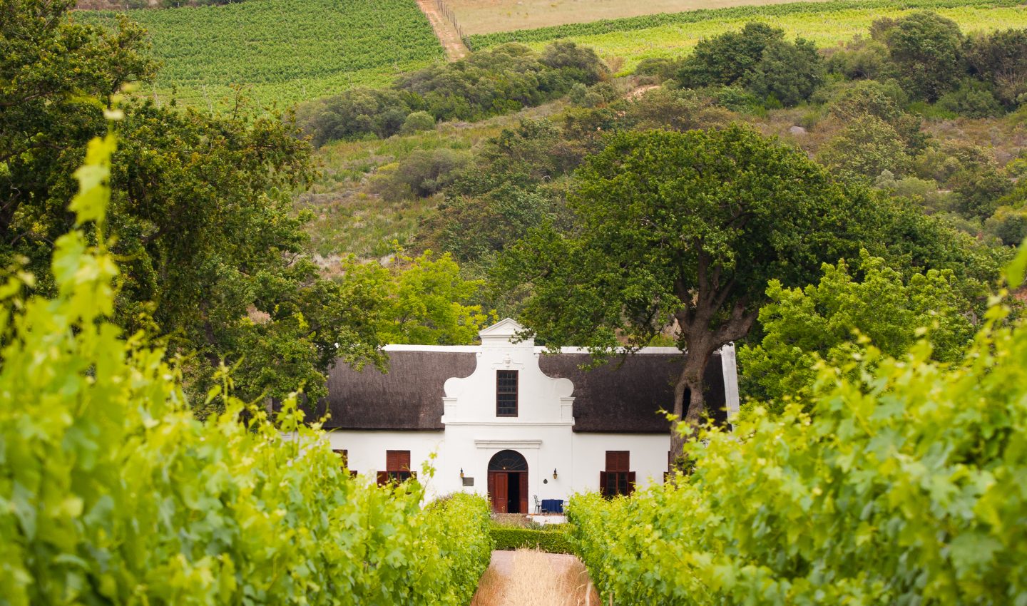 Paarl Wine Country