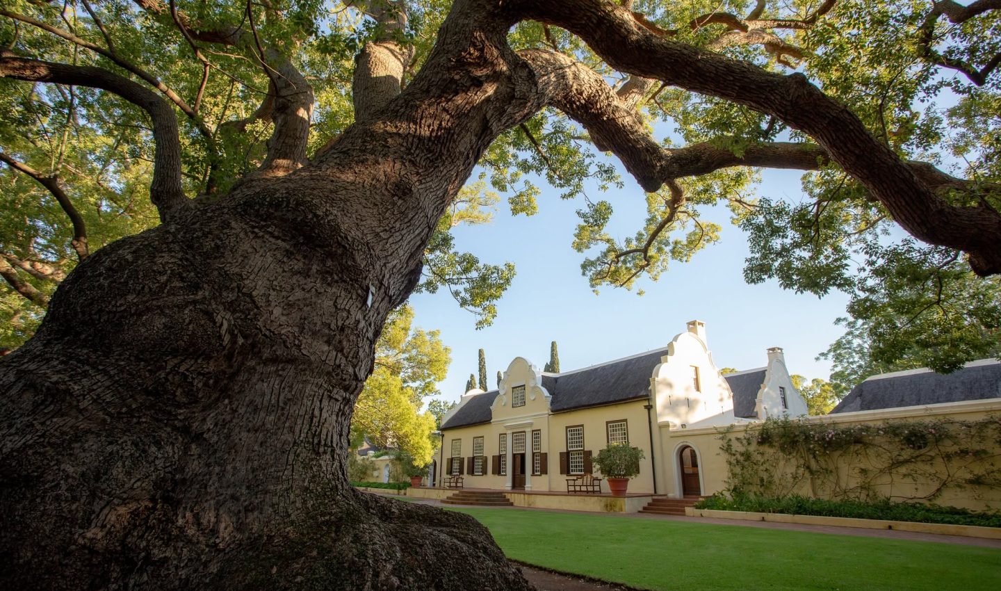 Vergelegen winery