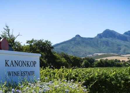 kanonkop winery