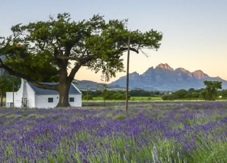 wineries - la motte