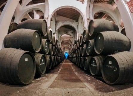 La Mezquita Wine Cathedral in Jerez