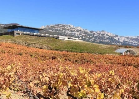 Baigorri winery