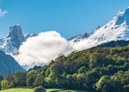 Food Tour of Asturias