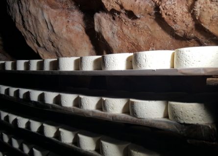 Cabrales cheese: Aging in mountain caves, only accessible by foot