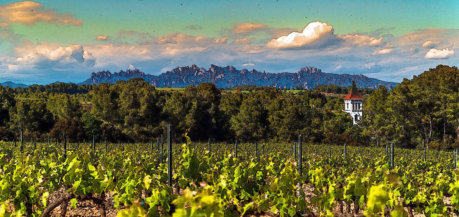 Barcelona Wine Tours » Taste Extraordinary Wines & Fantastic Food