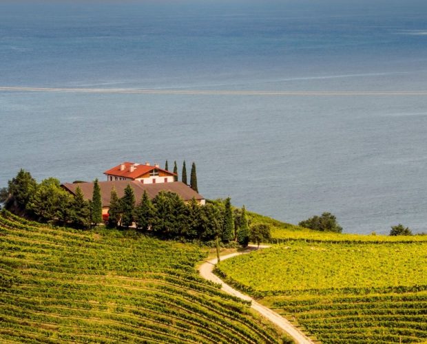 Private Food & Wine Tours in the Basque Country