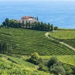 Basque Food and Wine Tour