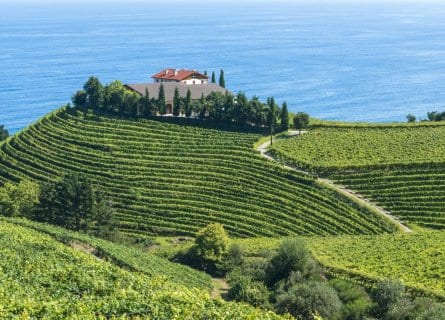 Basque Food and Wine Tour