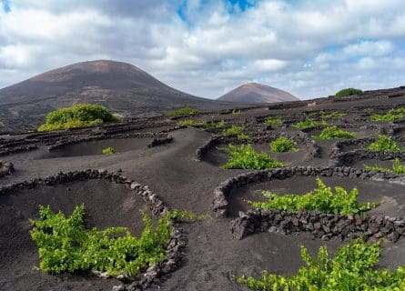 Lanzarote