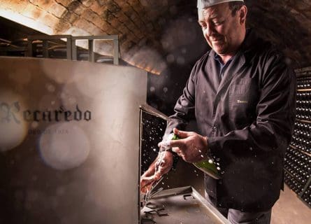 Recaredo produces some of the regions finest Cava