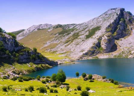 Cheese Lovers Tour of Spain