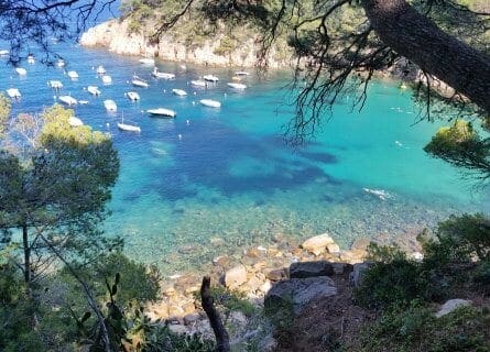 Beautiful Aiguablava Cove