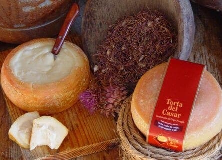 Torta del Casar Cheese