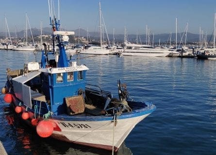 Baiona port