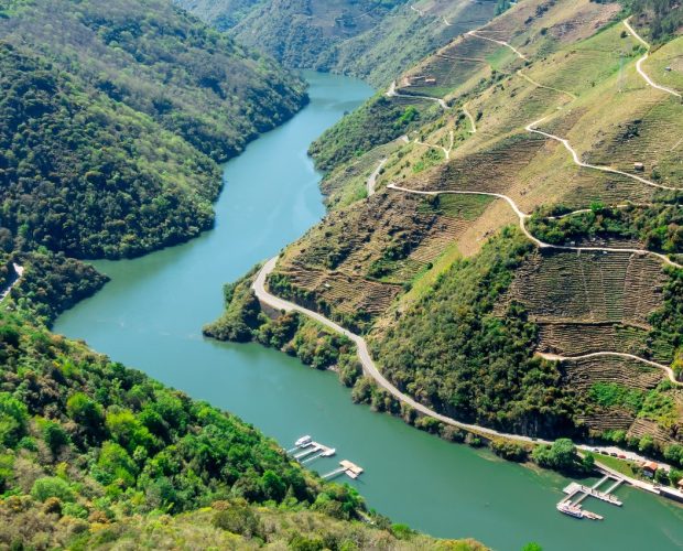 Private Food & Wine Tours in Galicia