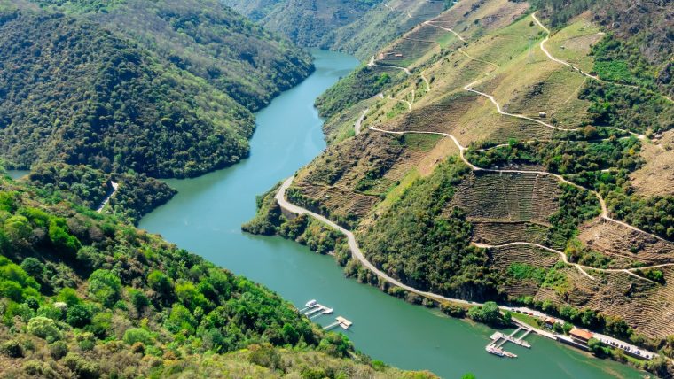 galicia wine tours