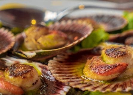 Galicia Food & Wine Tour