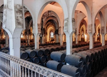 La Mezquita de Bodega Fundador