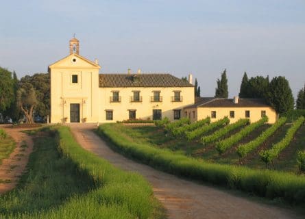 Marqués de Griñón winery