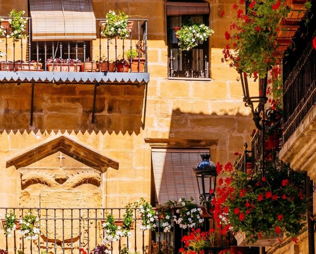 Private Wine Tours in Rioja
