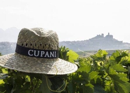 Cupani, Family Wine Estate