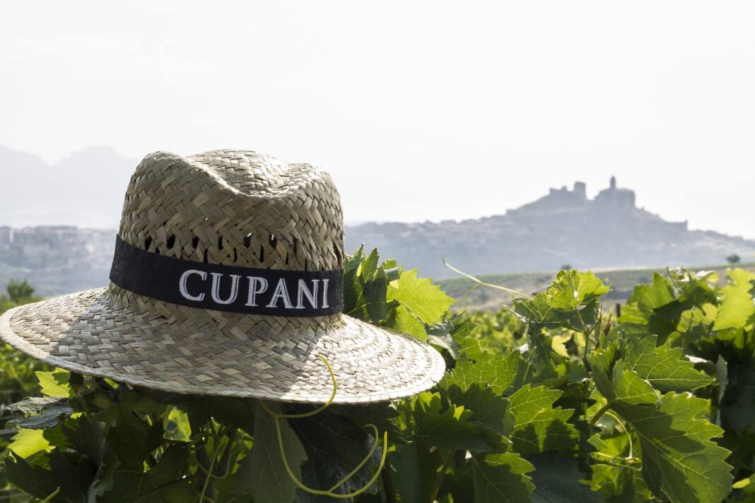 Cupani, Family Wine Estate