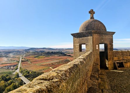 La Rioja vineyard views in the fall