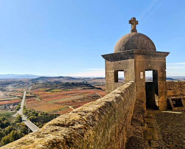 Private Food & Wine Tour in Northern Spain