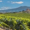 La Rioja Wine Tours