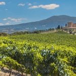 La Rioja Wine Tour