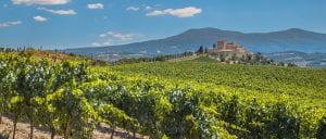 la-rioja-wine-tours la-rioja-wine-tours