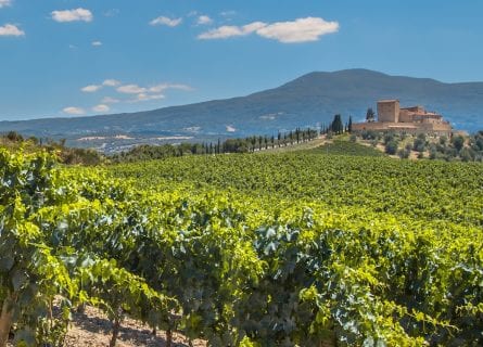 La Rioja Wine Tour