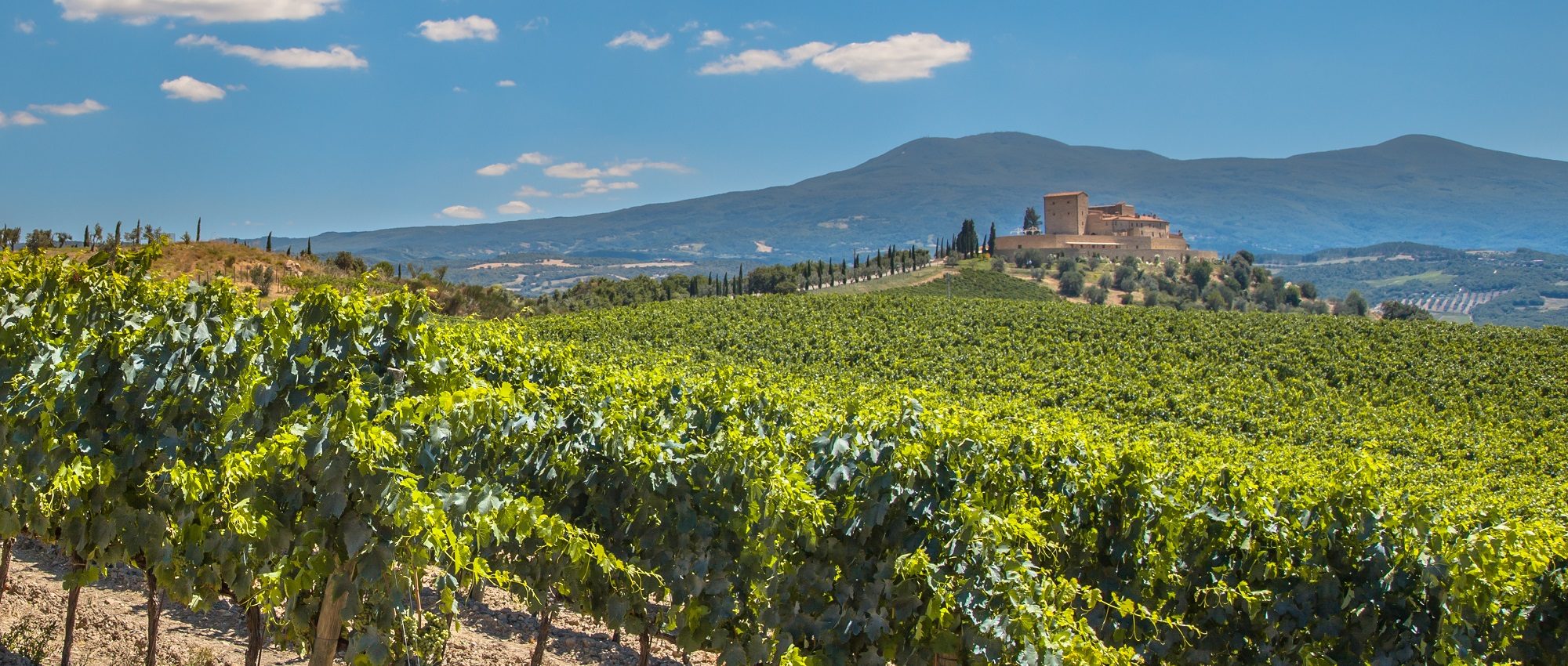 wine tours in la rioja