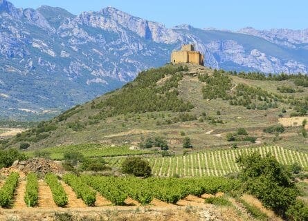 Scenic Rioja Wine Country