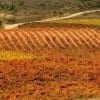 La Rioja Wine Tour
