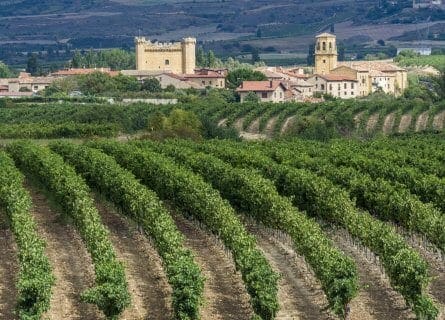 Sajazarra, in the heart of La Rioja wine country