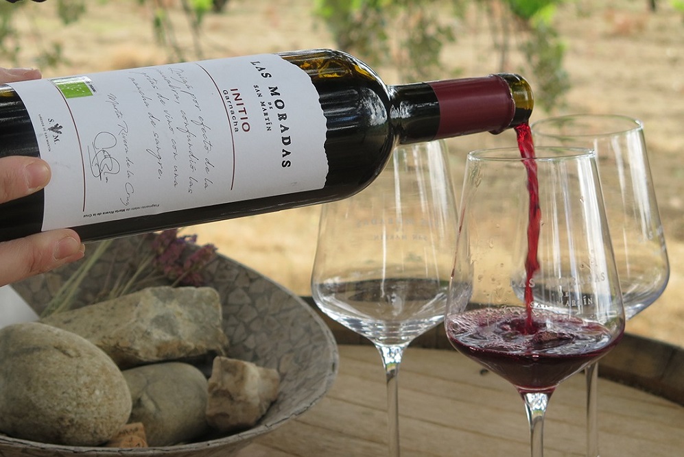 Las Moradas de San Martin winery Las Moradas de San Martin winery