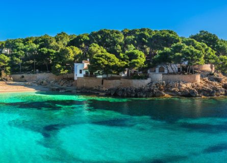 Mallorca Food & Wine Tour