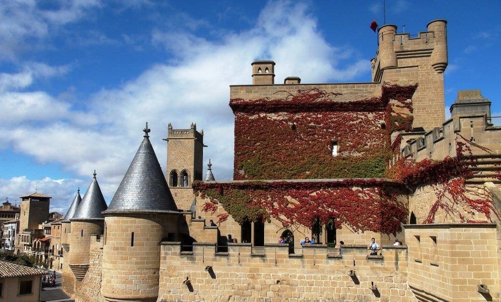Navarra Wine Tour