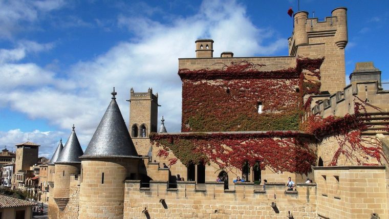 Private Wine Tours in Navarra