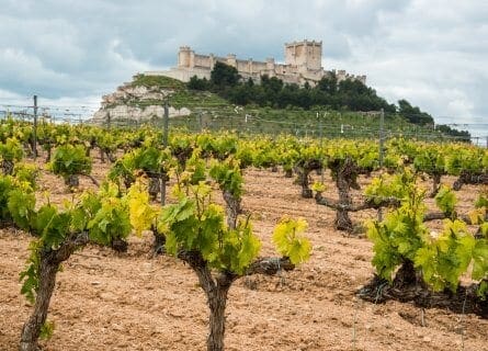 Peñafiel Castle, Ribera del Duero