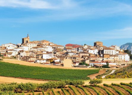 spanish wine odyssey