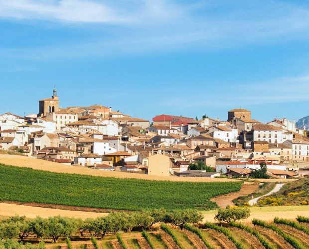 A Private Food & Wine Odyssey Through Spain