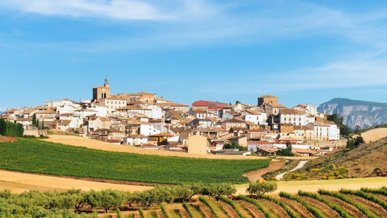spanish wine odyssey