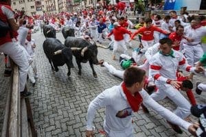 Running of the bulls Running of the bulls