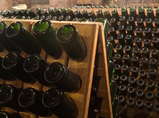 Penedes Wine Tour