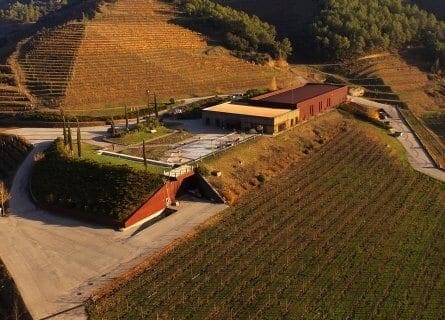 Perinet Winery